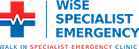 Wise Specialist Emergency